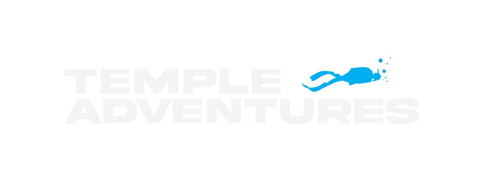 Since 2008 Logo